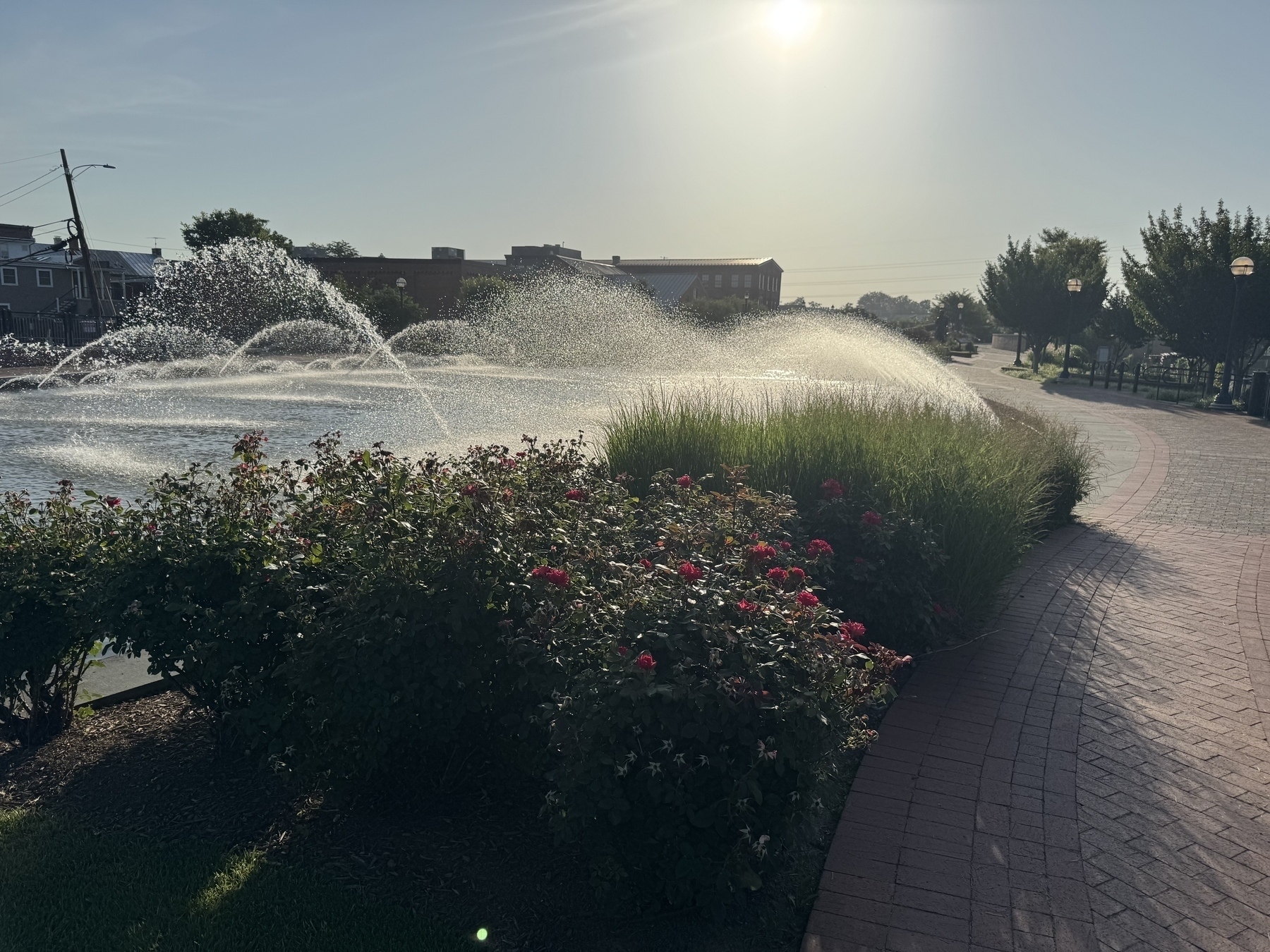 Frederick Maryland, Carroll creek park