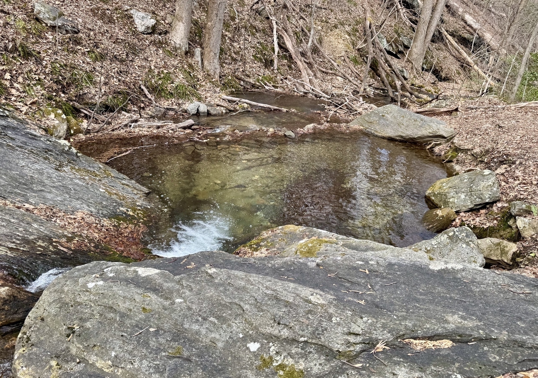 A mountain stream called Clifford Branch, Catoctin Mountains, Frederick County, Maryland